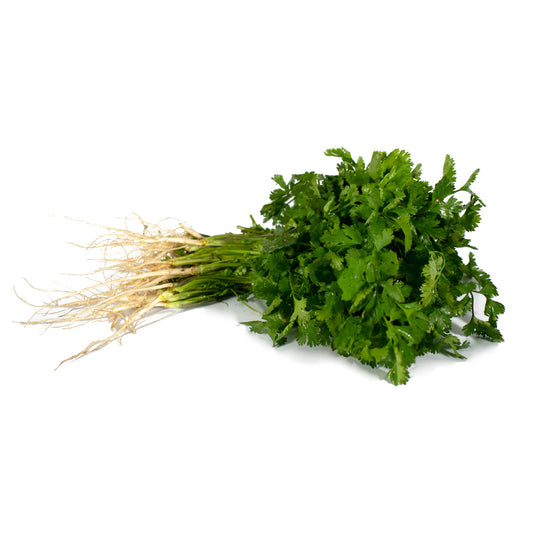 Cilantro orgánico 120 g