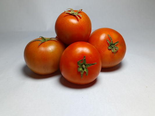 Tomate para ensalada agroecológico 500 g.  Santa Sofía, Boyacá