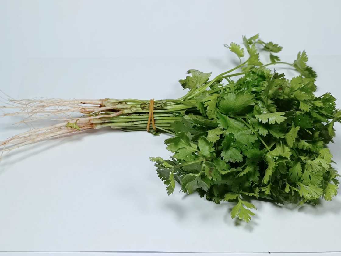 Cilantro orgánico 50 g