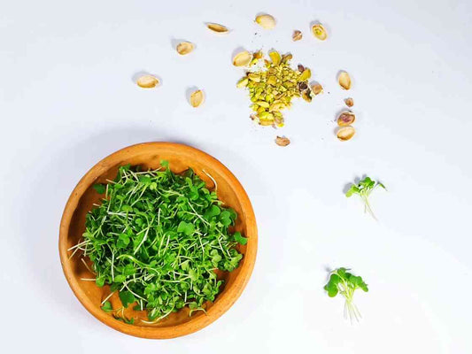 Microgreens Tat soi 50 gramos