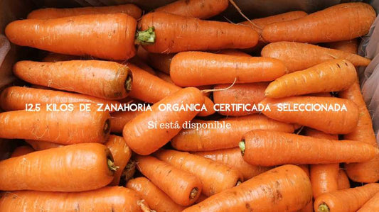 Zanahoria orgánica por arroba. Certificada Ecocert.