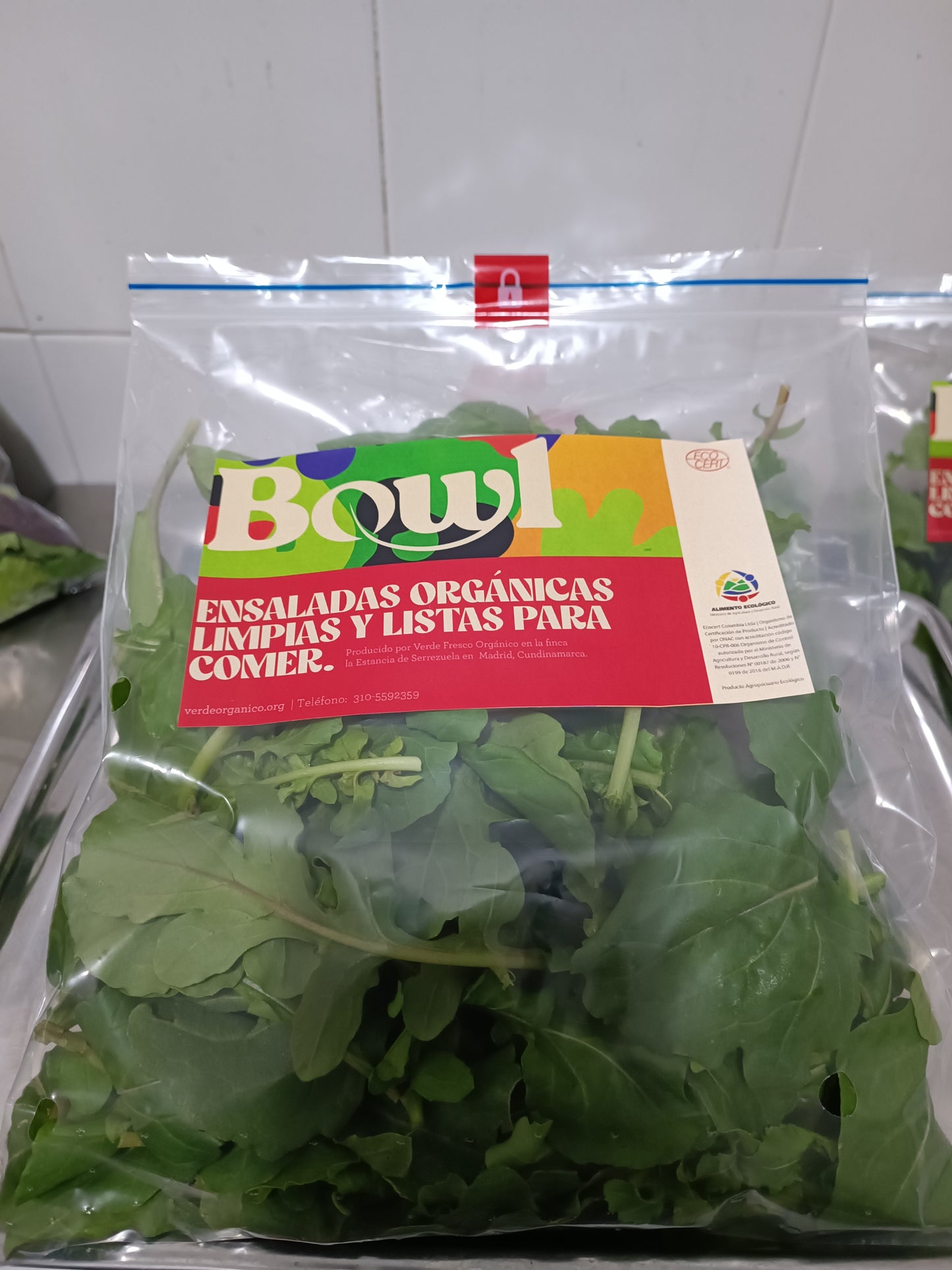 Rúgula roquette orgánica.  Lista para consumir 100 g