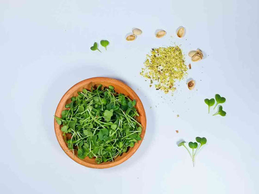 Microgreens de mostaza 30 g